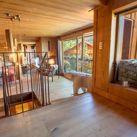 Chalet Chalet La Tanniere *