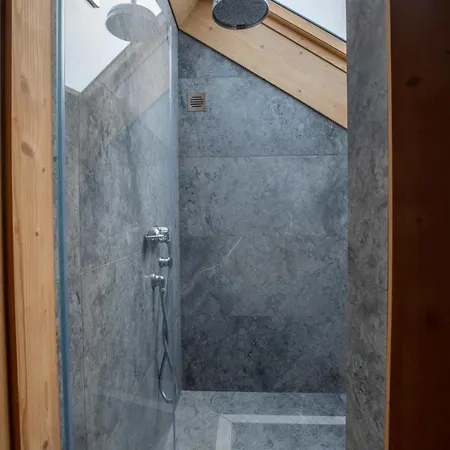 Chalet La Tanniere Chalet Mussillon